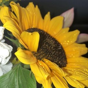 Meet your Posher, Marina